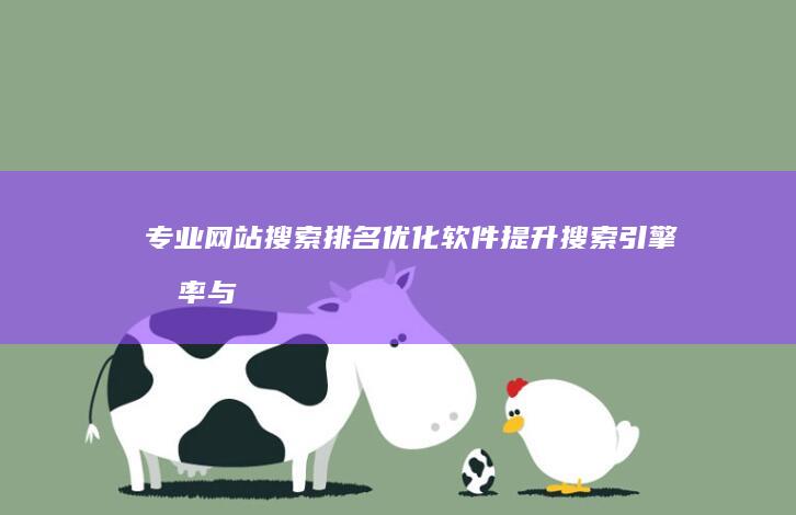 专业网站搜索排名优化软件：提升搜索引擎效率与流量